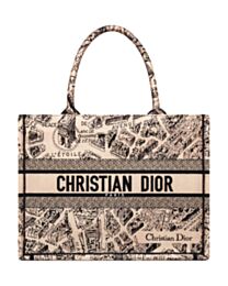 Christian Dior Medium Dior Book Tote Apricot