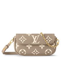Louis Vuitton Wallet On Chain Ivy M82211 Gray